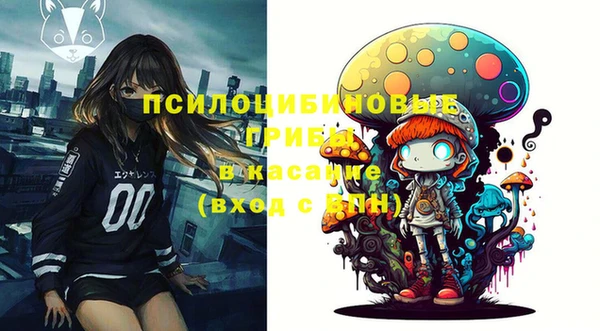 прущая мука Богородицк